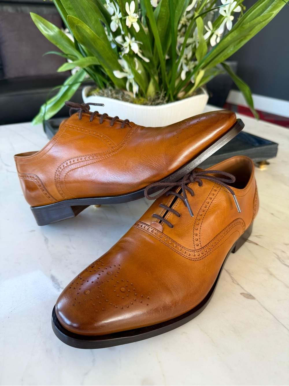 New Allen Edmonds Siena Medallion Oxford Dress Shoe Walnut Leather - Picture 14 of 15